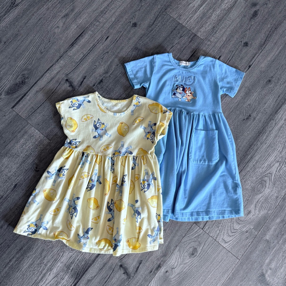 Bluey Dresses Set - 5T